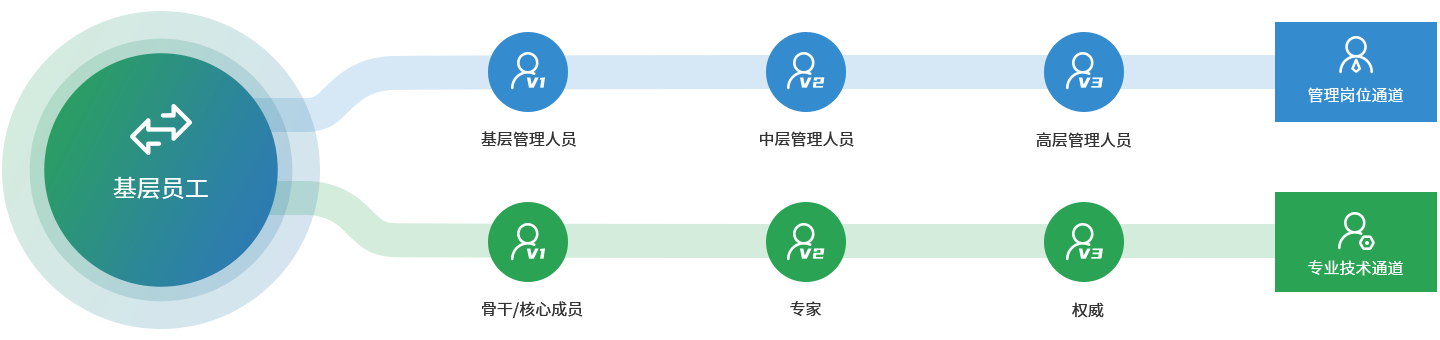 2024澳门原料1688茄子